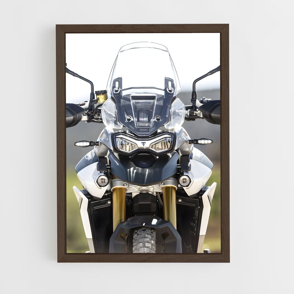 Poster Puissance du Tigre – affiche Triumph (vue 5)